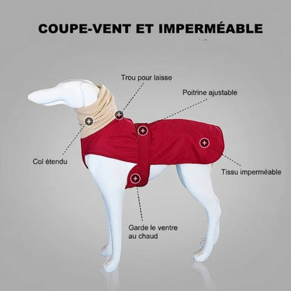 Manteau imperméable AventureCanine rouge pour chien avec col montant beige, ajustable et doublé pour l'hiver