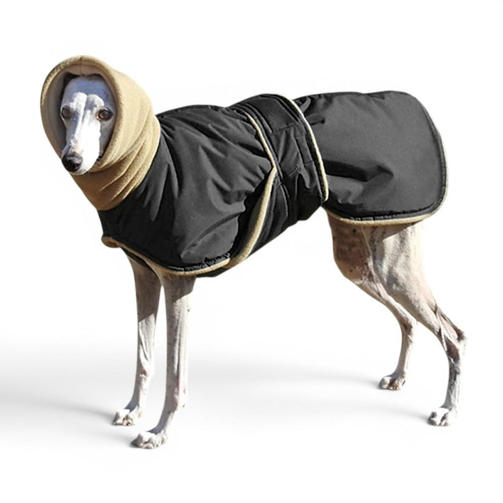 Chien portant un manteau AventureCanine noir imperméable avec cache-cou beige, idéal pour l'hiver.