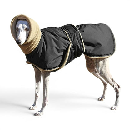 Chien portant un manteau AventureCanine noir imperméable avec cache-cou beige, idéal pour l'hiver.