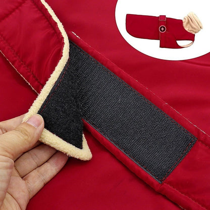 Détail du système de fermeture velcro sur le manteau d'hiver imperméable rouge pour chien AventureCanine