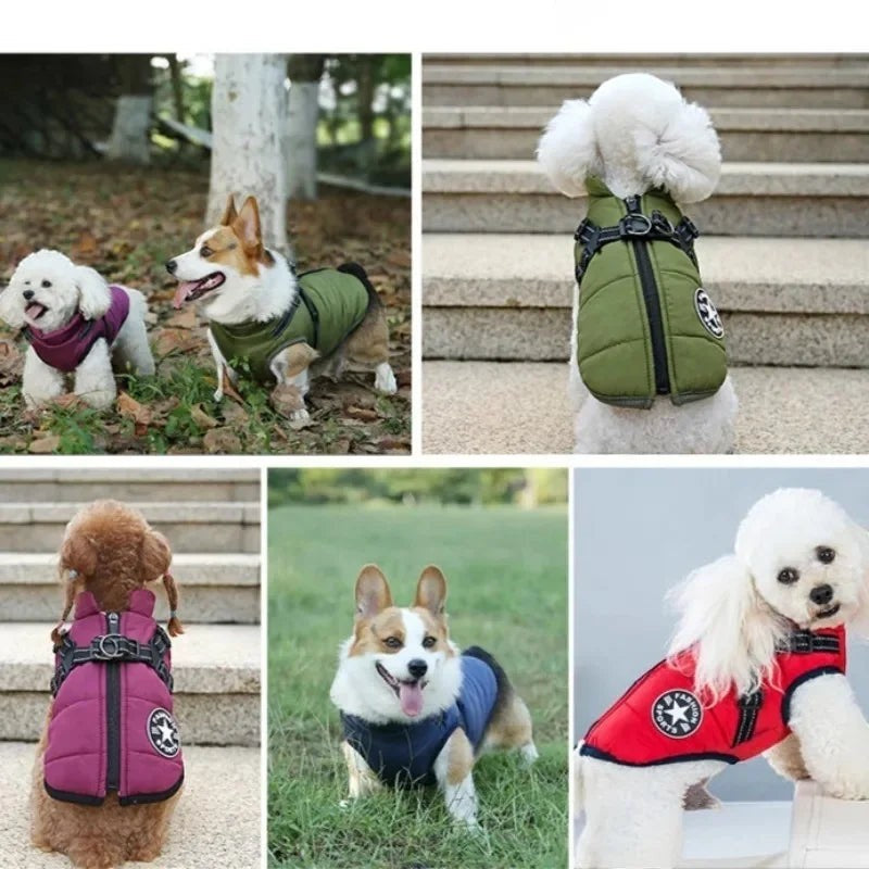 Manteau d'hiver AventureCanine pour chien avec harnais intégré, tissu déperlant chaud disponible en plusieurs couleurs