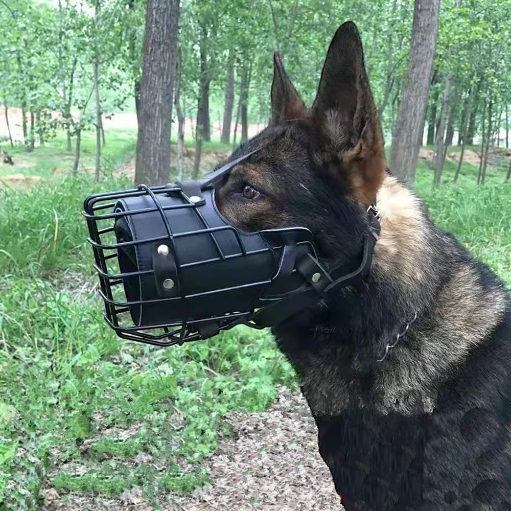 Muselière panier AventureCanine en acier inoxydable noir et cuir sur un berger allemand en extérieur