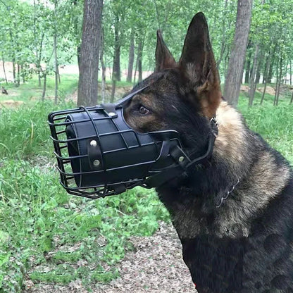 Muselière panier AventureCanine en acier inoxydable noir et cuir sur un berger allemand en extérieur
