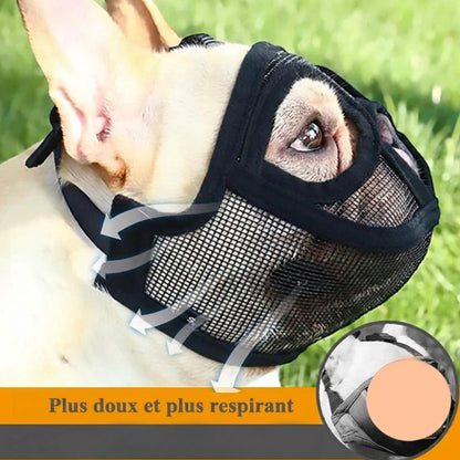 Muselière AventureCanine noire en nylon respirant pour chien à museau court avec sangles réglables et rembourrage