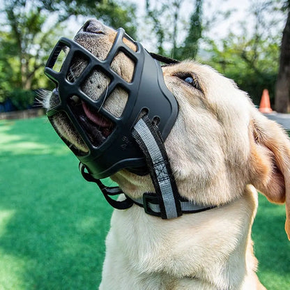 Muselière AventureCanine noire, légère et respirante, portée par un chien labrador en extérieur.