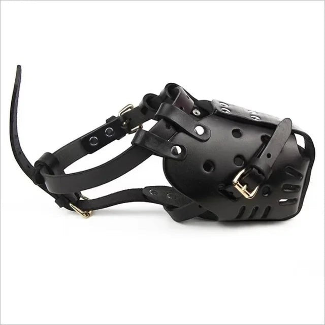Muselière AventureCanine en cuir noir robuste avec sangles réglables et boucle pour chien