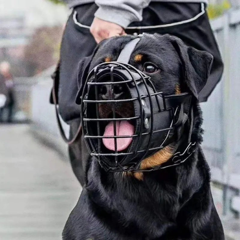Muselière panier AventureCanine en acier inoxydable noir pour chien, respirante avec sangles en cuir réglables