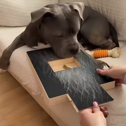 Chien gris utilisant la planche à gratter AventureCanine avec compartiment à friandises pour limer ses griffes