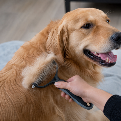 Dog curry brush - Detangles & thins out