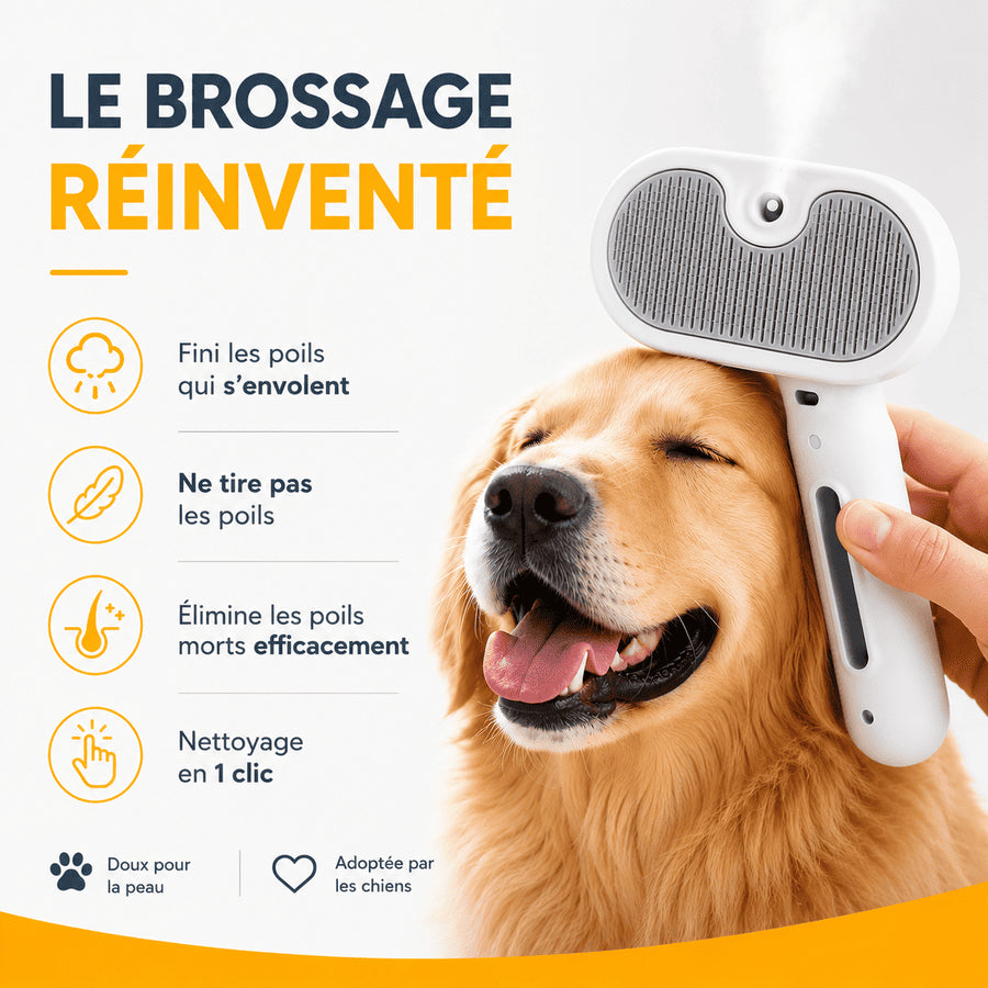 Brosse vapeur - FurMist