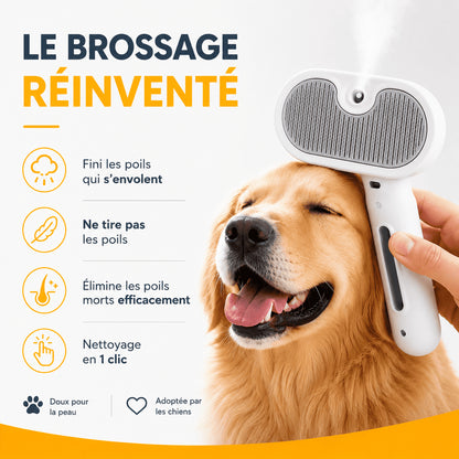 Brosse vapeur - FurMist