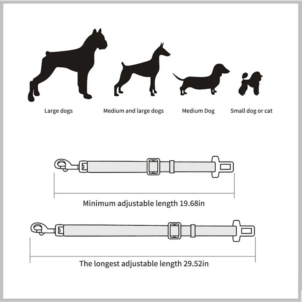 Ceinture de sécurité pour chien - Dimensions