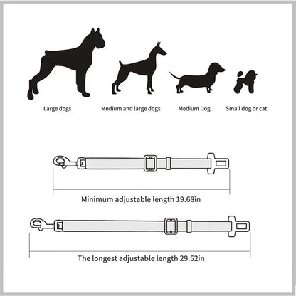 Ceinture de sécurité pour chien - Dimensions