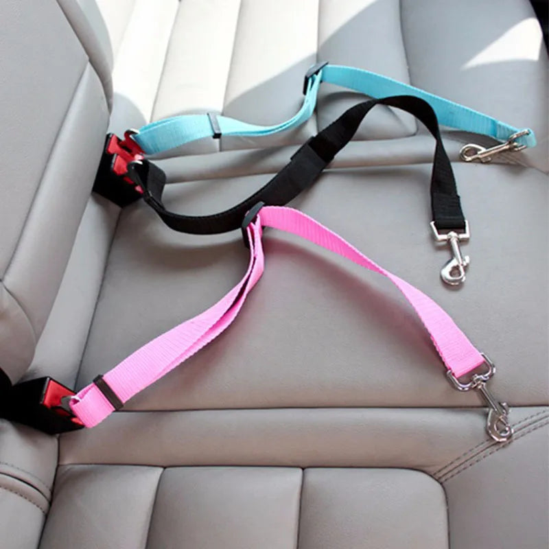 Ceinture de sécurité pour chien