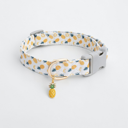 Collier fantaisie pour Chien - Dog Fruit