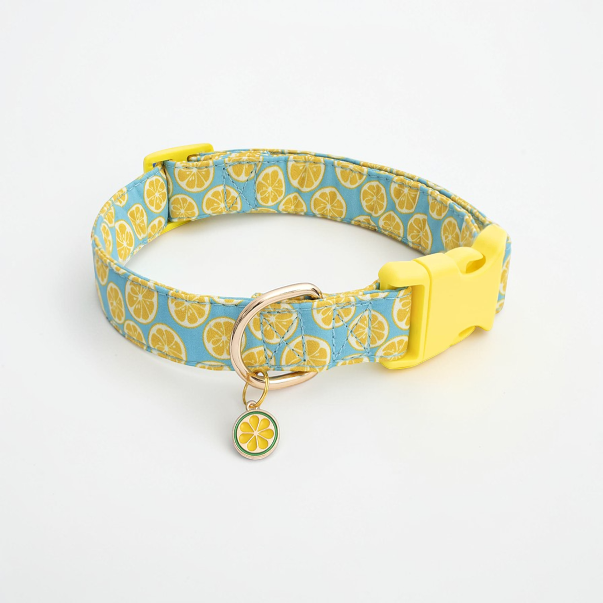 Collier fantaisie pour Chien - Dog Fruit