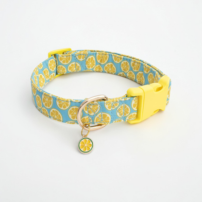 Collier fantaisie pour Chien - Dog Fruit