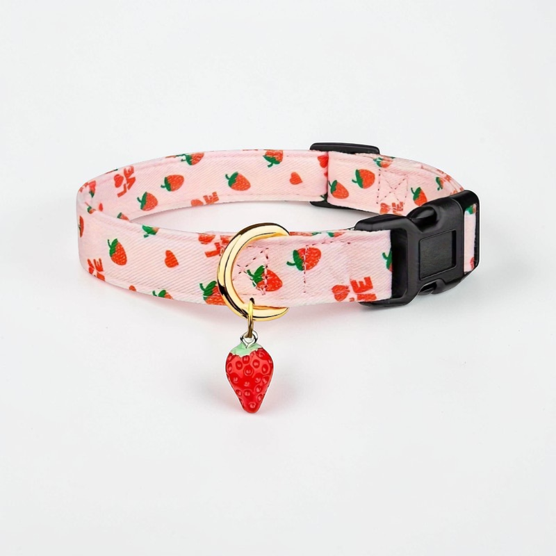Collier fantaisie pour Chien - Dog Fruit