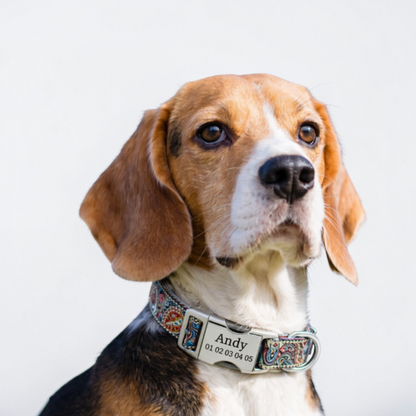 Collier personnalisé pour chien | Boucle Gravée - Ethnic Dog