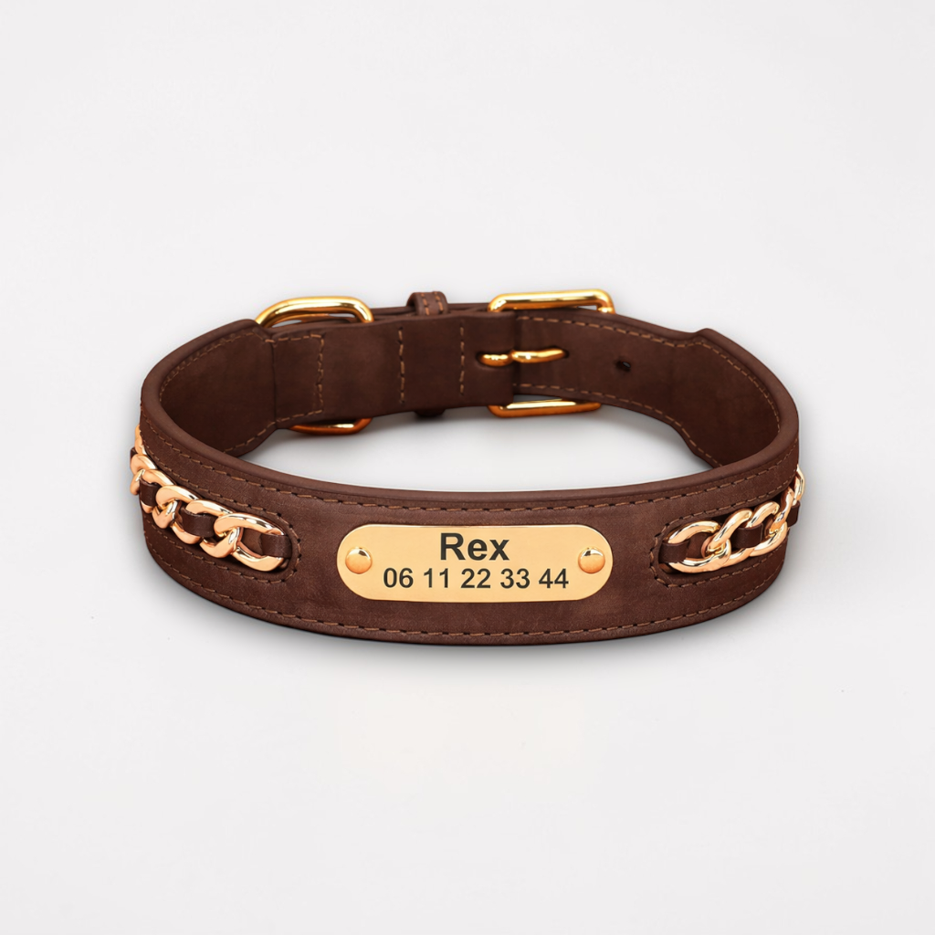 Collier cuir chien personnalisé - Prestige Dog