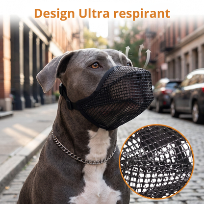 Filet anti-intoxication AventureCanine en nylon noir respirant pour chien, porté par un chien dans la rue.