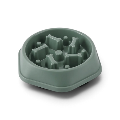 Gamelle anti-glouton AventureCanine verte en forme de labyrinthe pour chien, fabriquée en plastique alimentaire