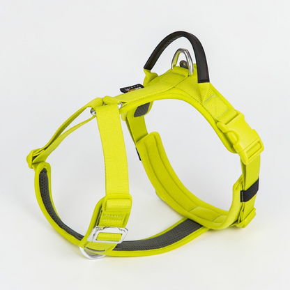 Harnais anti-traction en Y - Nylon Cordura haute résistance