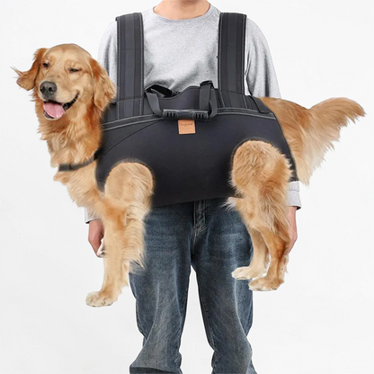 Harnais de transport pour chien