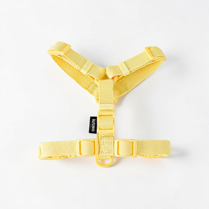 Harnais petit chien en Y - Minimaliste & Durable