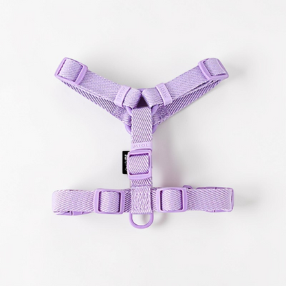 Harnais petit chien en Y - Minimaliste & Durable