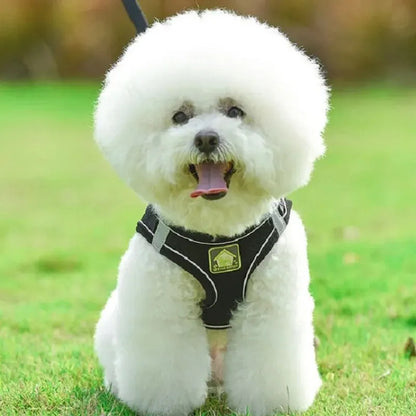 Harnais petit chien gilet - noir