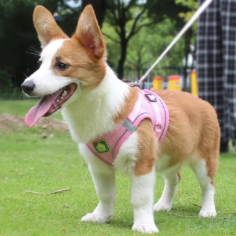 Harnais petit chien gilet - rose
