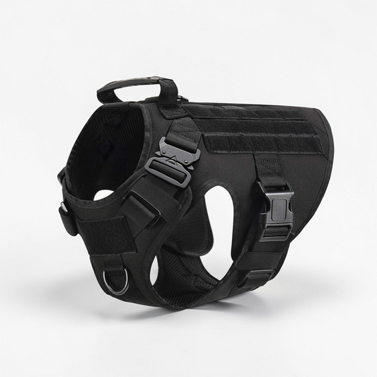 Harnais tactique grand chien - Stabilité & Solidité