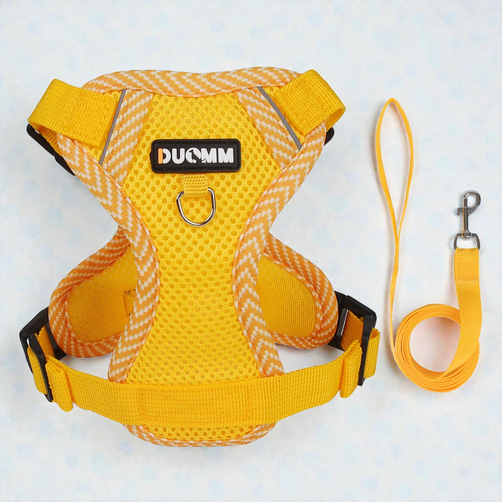 Harnais petit chien Bichon Frisé - jaune