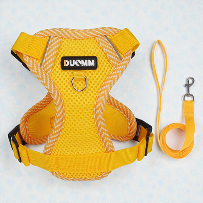 Harnais petit chien Bichon Frisé - jaune