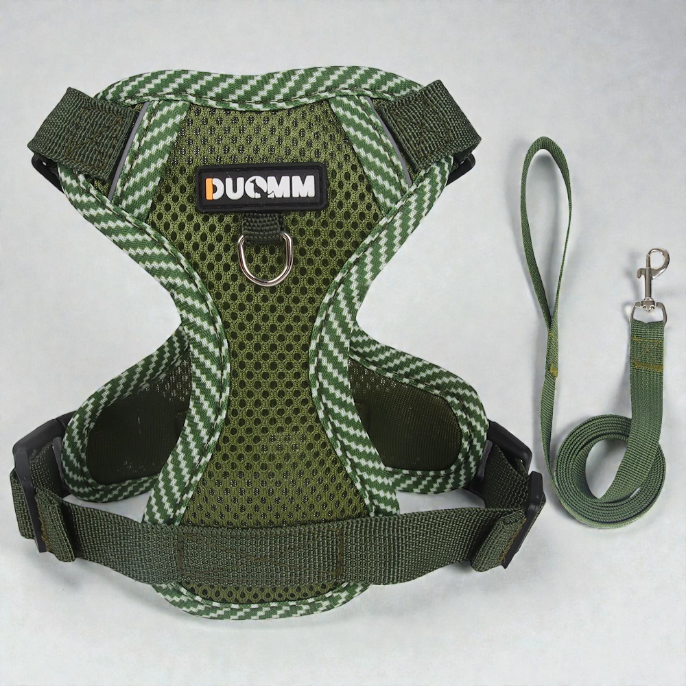 Harnais petit chien Bichon Frisé - vert