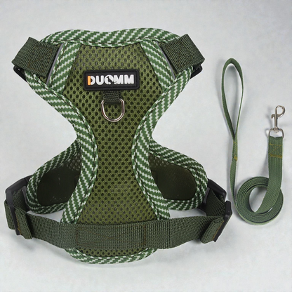 Harnais petit chien Bichon Frisé - vert