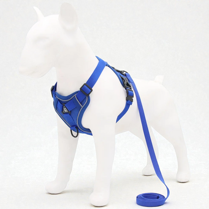 Harnais petit chien Bouledogue Français - bleu