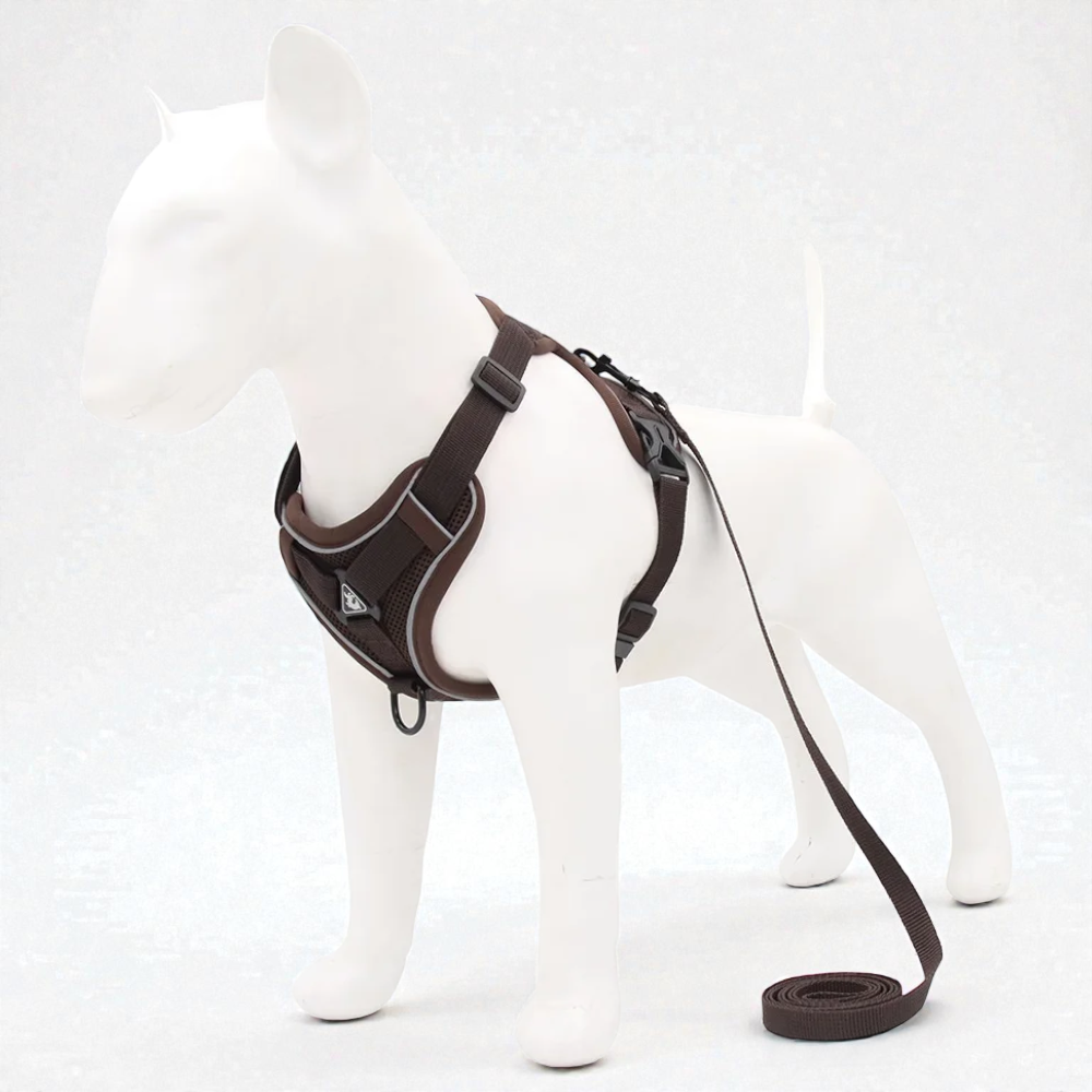 Harnais petit chien Bouledogue Français - chocolat