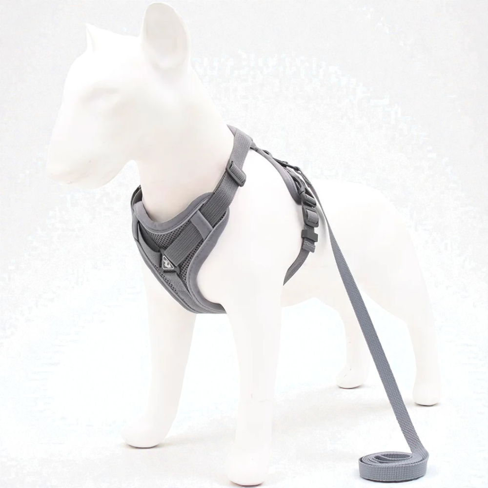 Harnais petit chien Bouledogue Français - gris