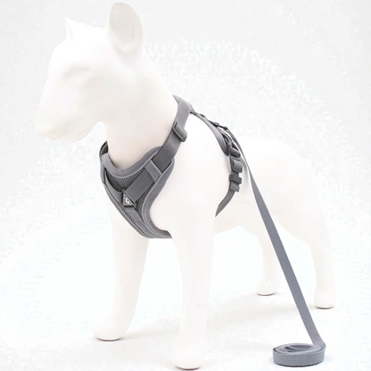 Harnais petit chien Bouledogue Français - gris