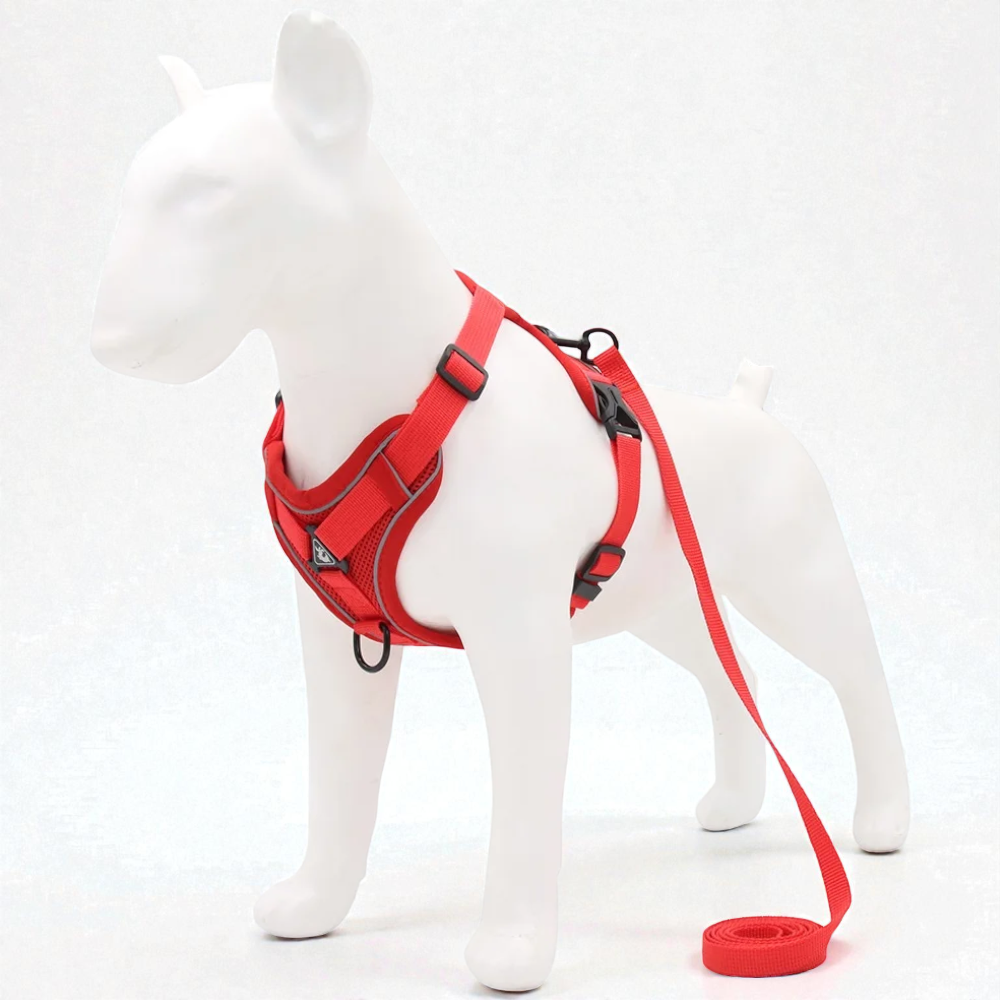 Harnais petit chien Bouledogue Français - Rouge