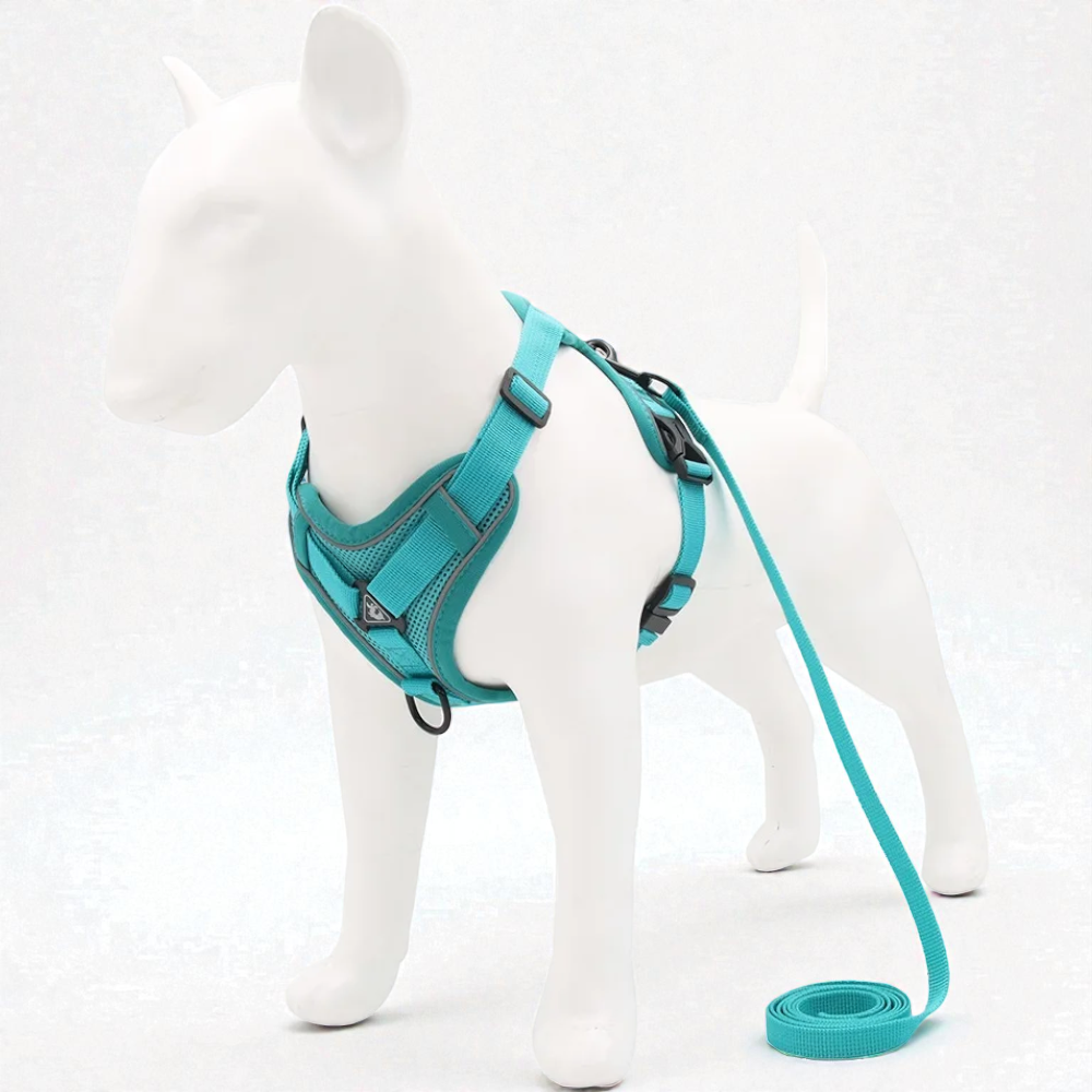 Harnais petit chien Bouledogue Français - vert