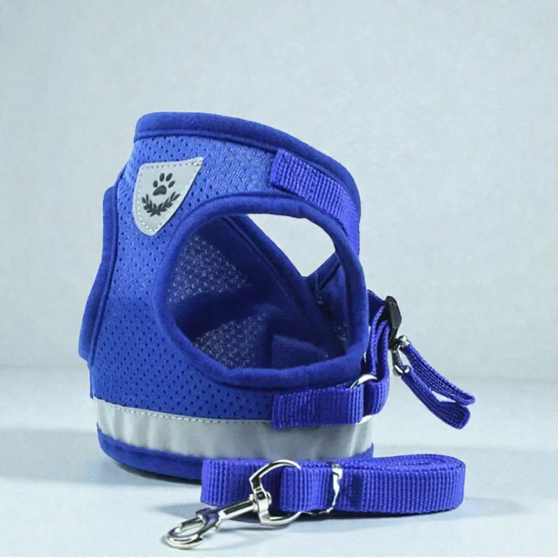 Harnais petit chien Carlin - bleu