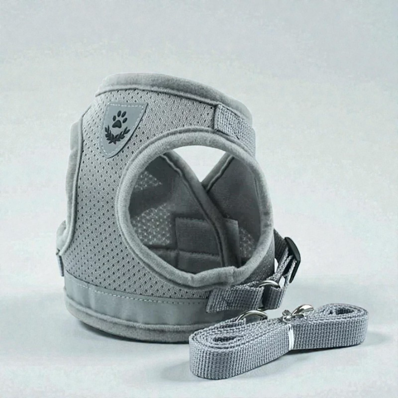 Harnais petit chien Carlin - gris