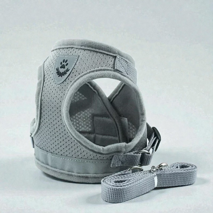 Harnais petit chien Carlin - gris