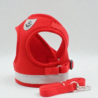 Harnais petit chien Carlin - rouge