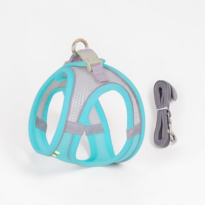 Harnais pour petit chien - Gilet rembourré