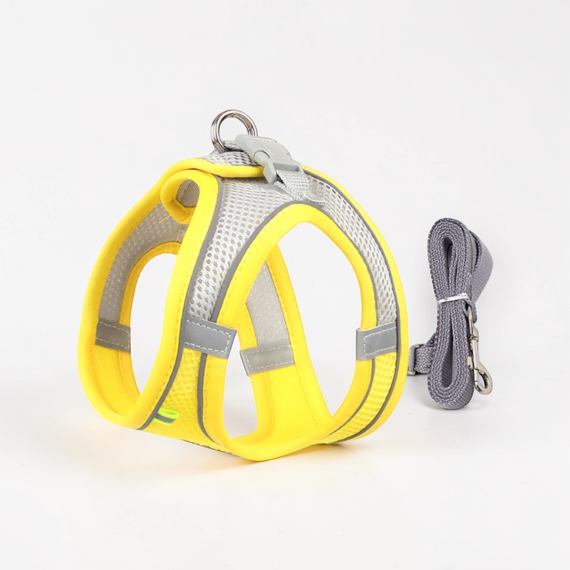 Harnais pour petit chien - Gilet rembourré