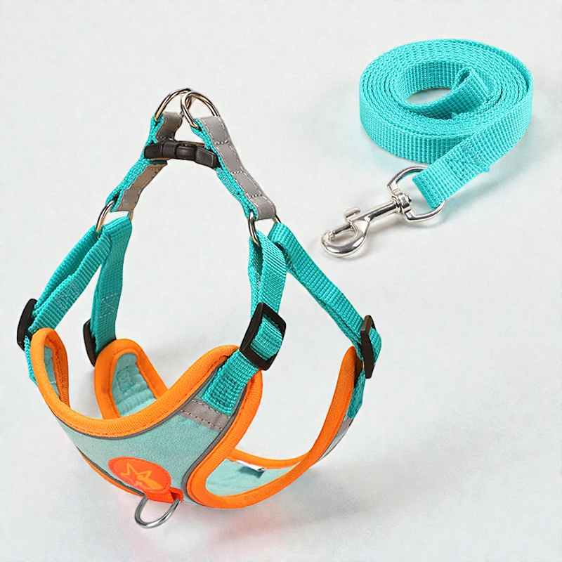 Harnais petit chien léger et coloré - Cyan